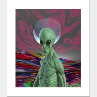 Alien Sunset Posters and Art